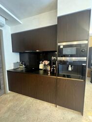 The Florence Residences (D19), Apartment #478953061